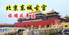 8x8x抽插中国北京-东城古宫旅游风景区